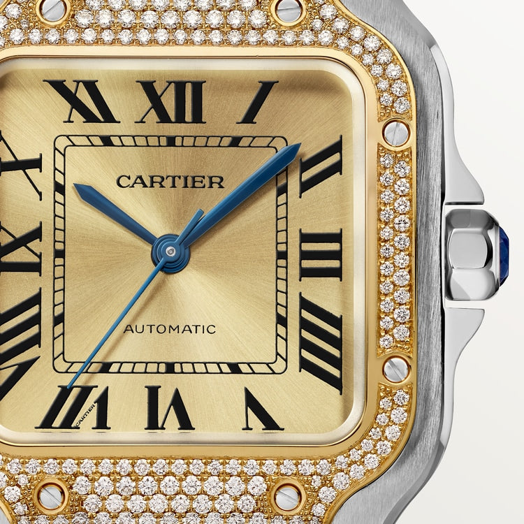 https://www.cartier.com/dw/image/v2/BGTJ_PRD/on/demandware.static/-/Sites-cartier-master/default/dw7cb9286e/images/large/5b30ca90898e58a7808a223c3c40d1a4.png?sw=750&sh=750&sm=fit&sfrm=png