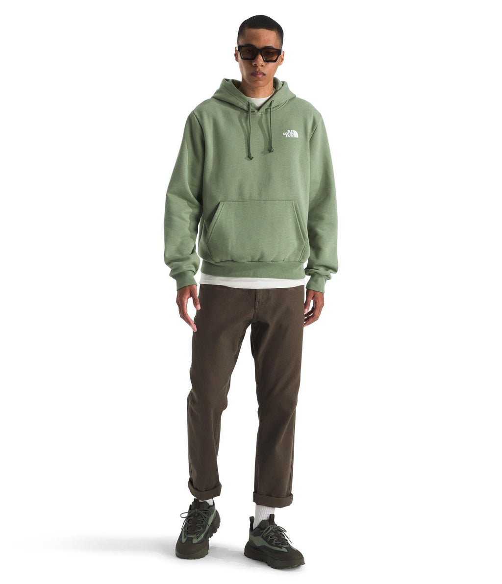 The North Face mens Evolution Box Nse Hoodie
