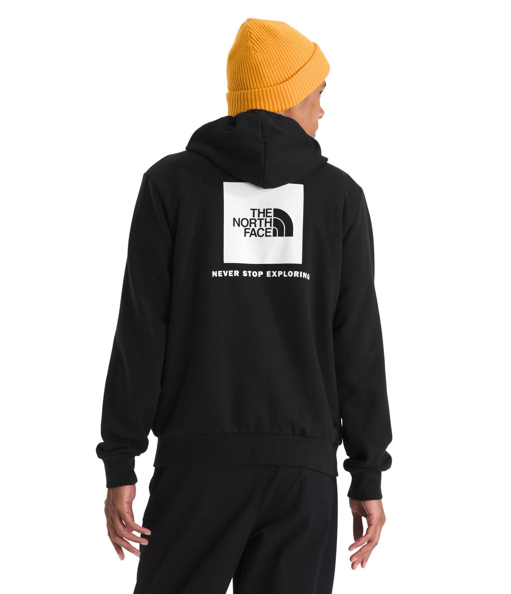 The North Face mens Evolution Box Nse Hoodie