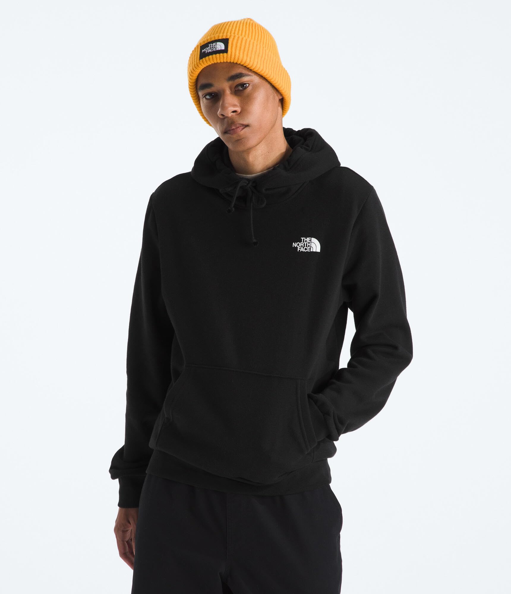 The North Face mens Evolution Box Nse Hoodie