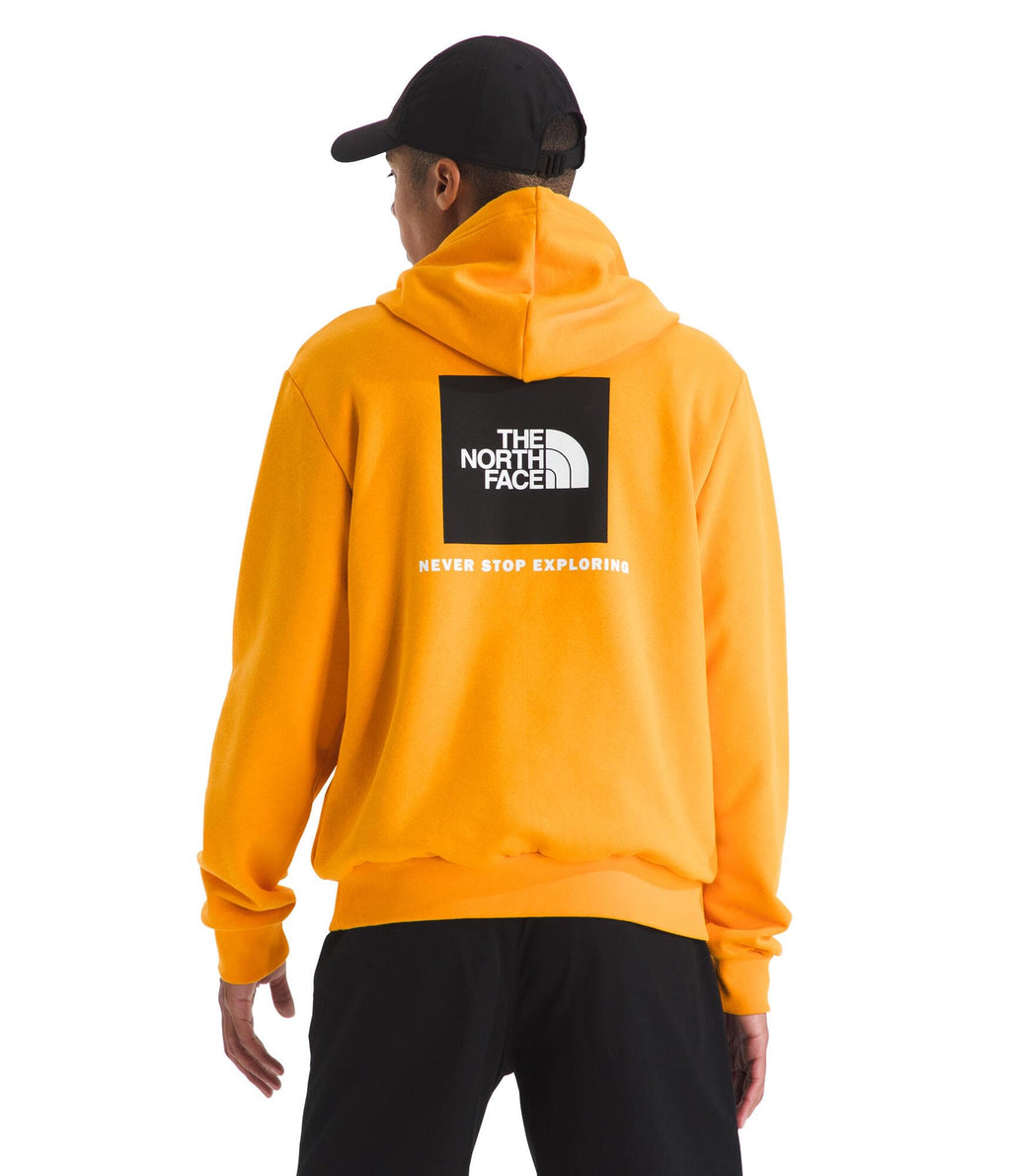 The North Face mens Evolution Box Nse Hoodie