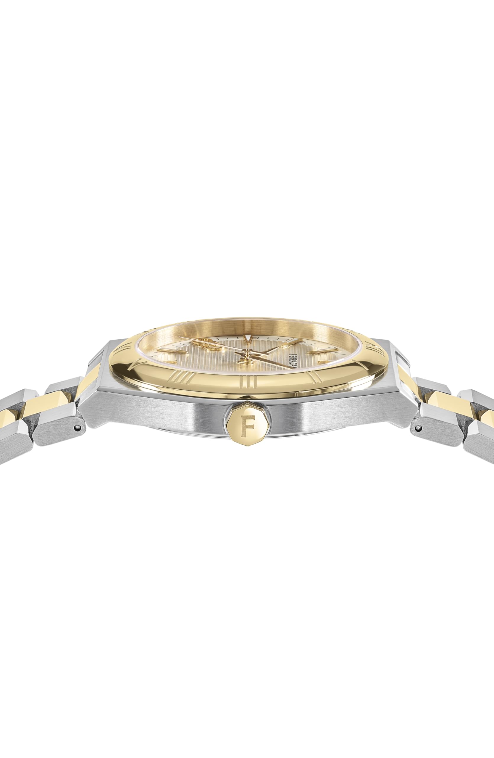 Salvatore Ferragamo Vega Collection Luxury Mens Watch Timepiece