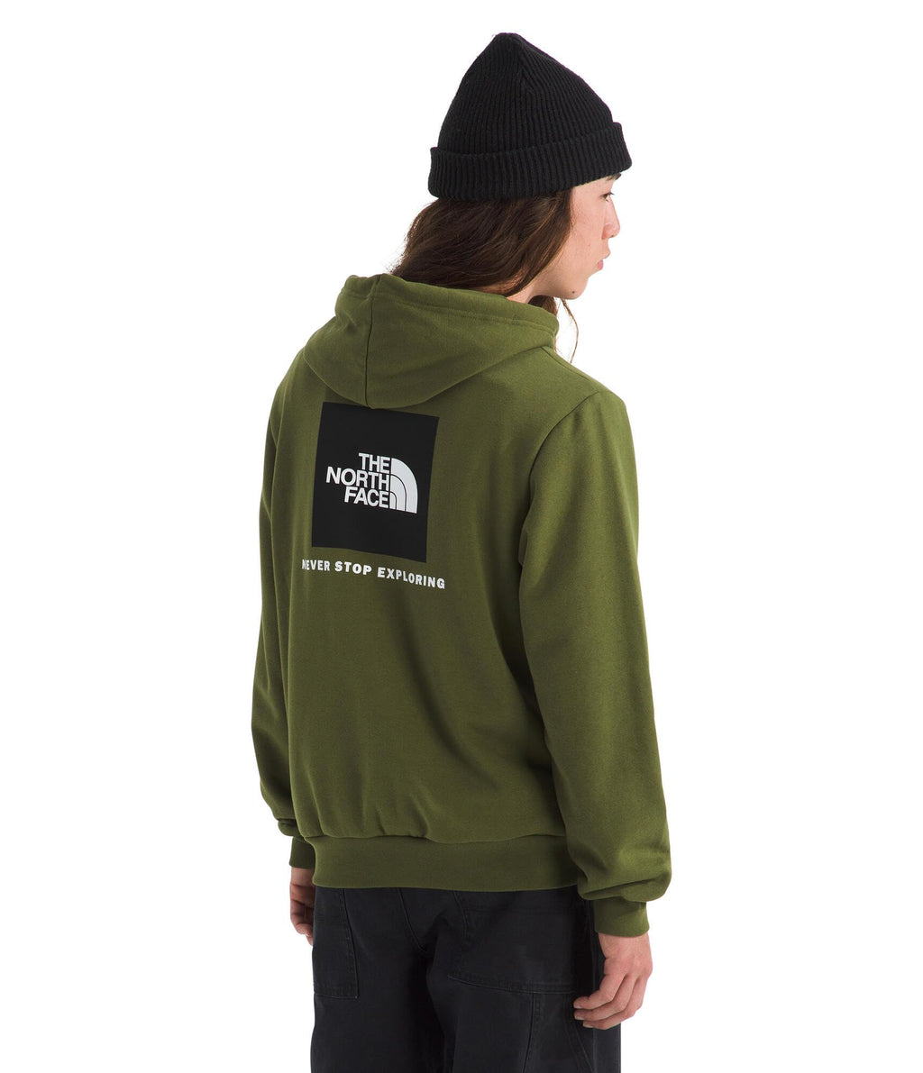 The North Face mens Evolution Box Nse Hoodie