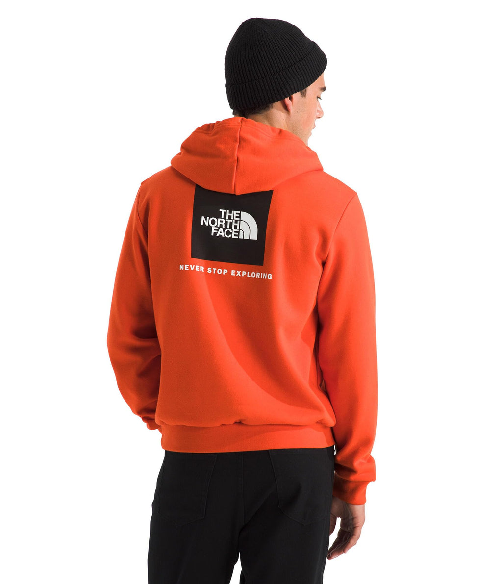 The North Face mens Evolution Box Nse Hoodie