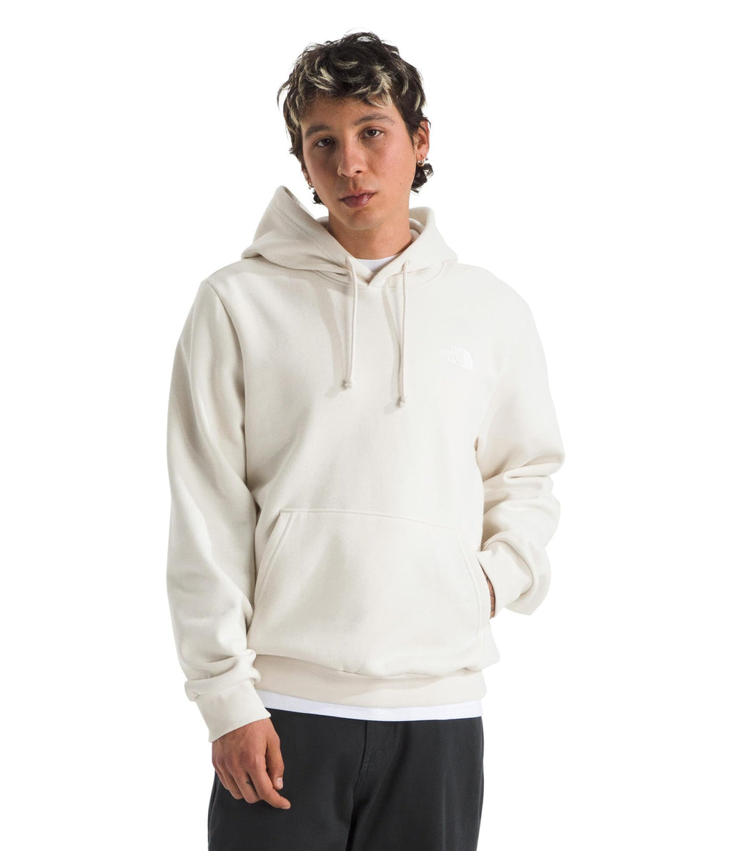 The North Face mens Evolution Box Nse Hoodie