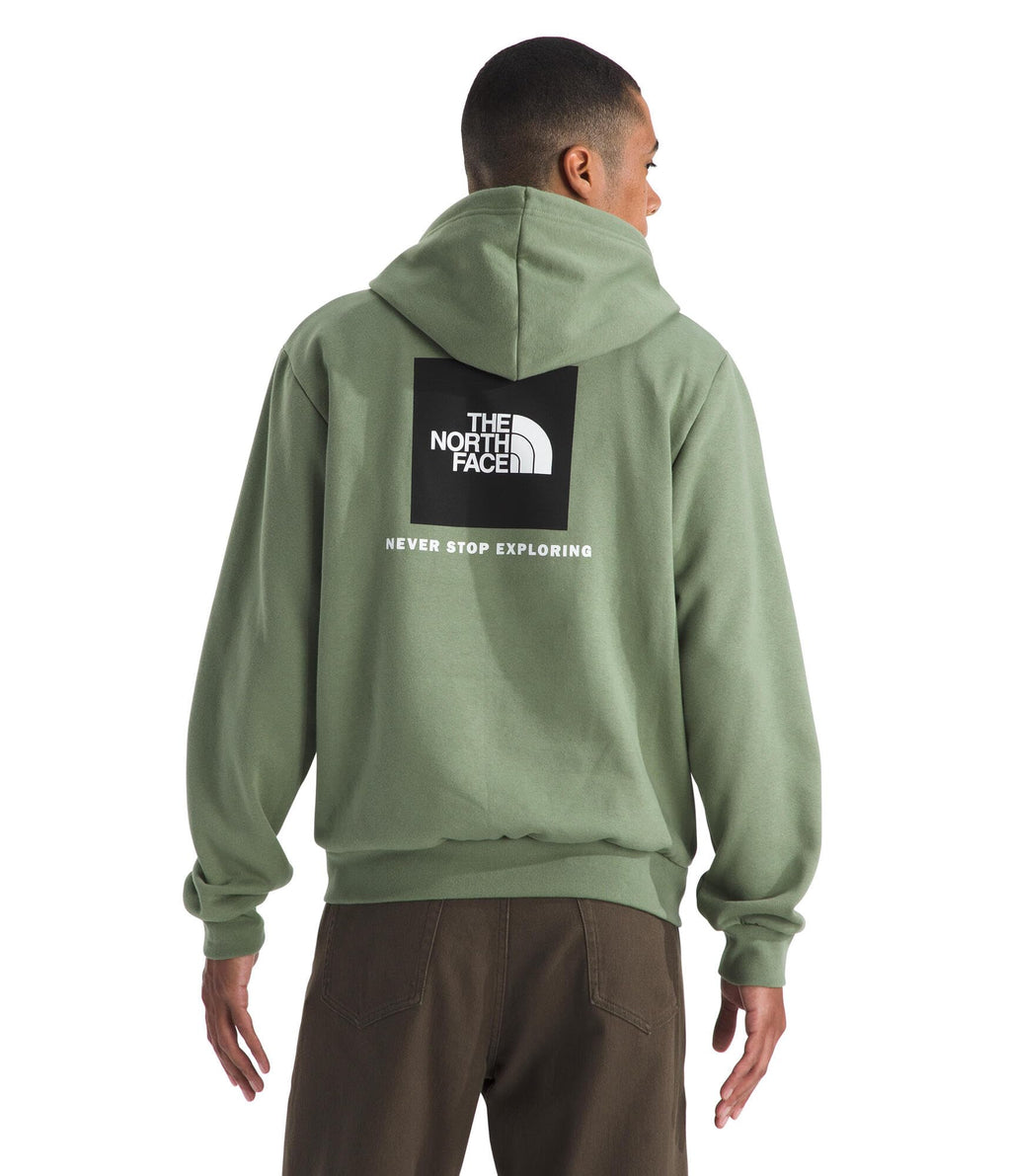 The North Face mens Evolution Box Nse Hoodie
