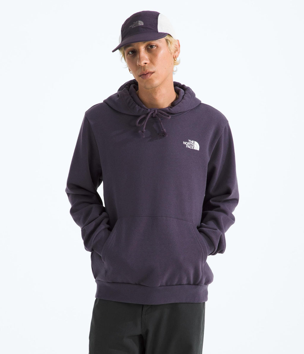 The North Face mens Evolution Box Nse Hoodie