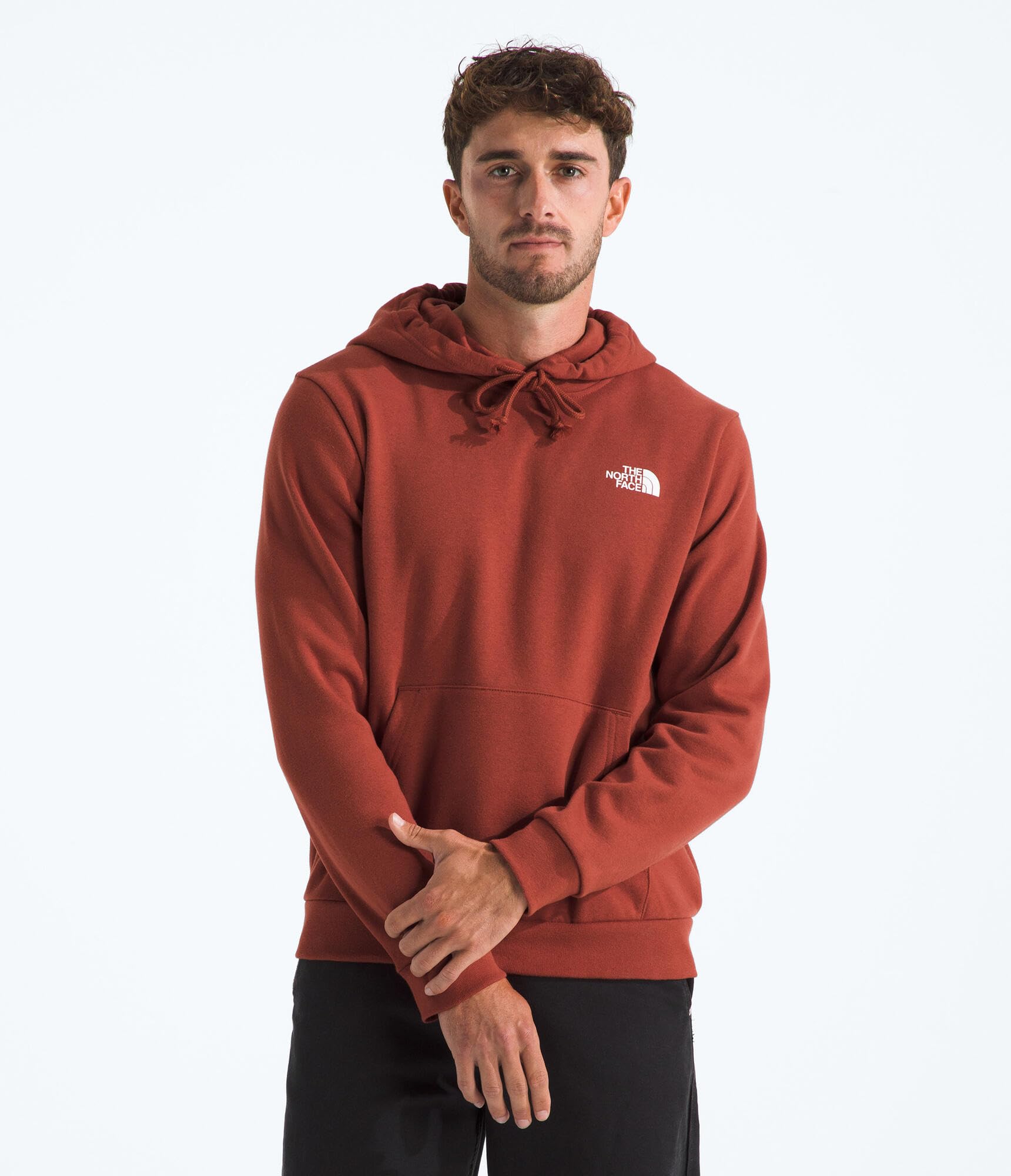 The North Face mens Evolution Box Nse Hoodie