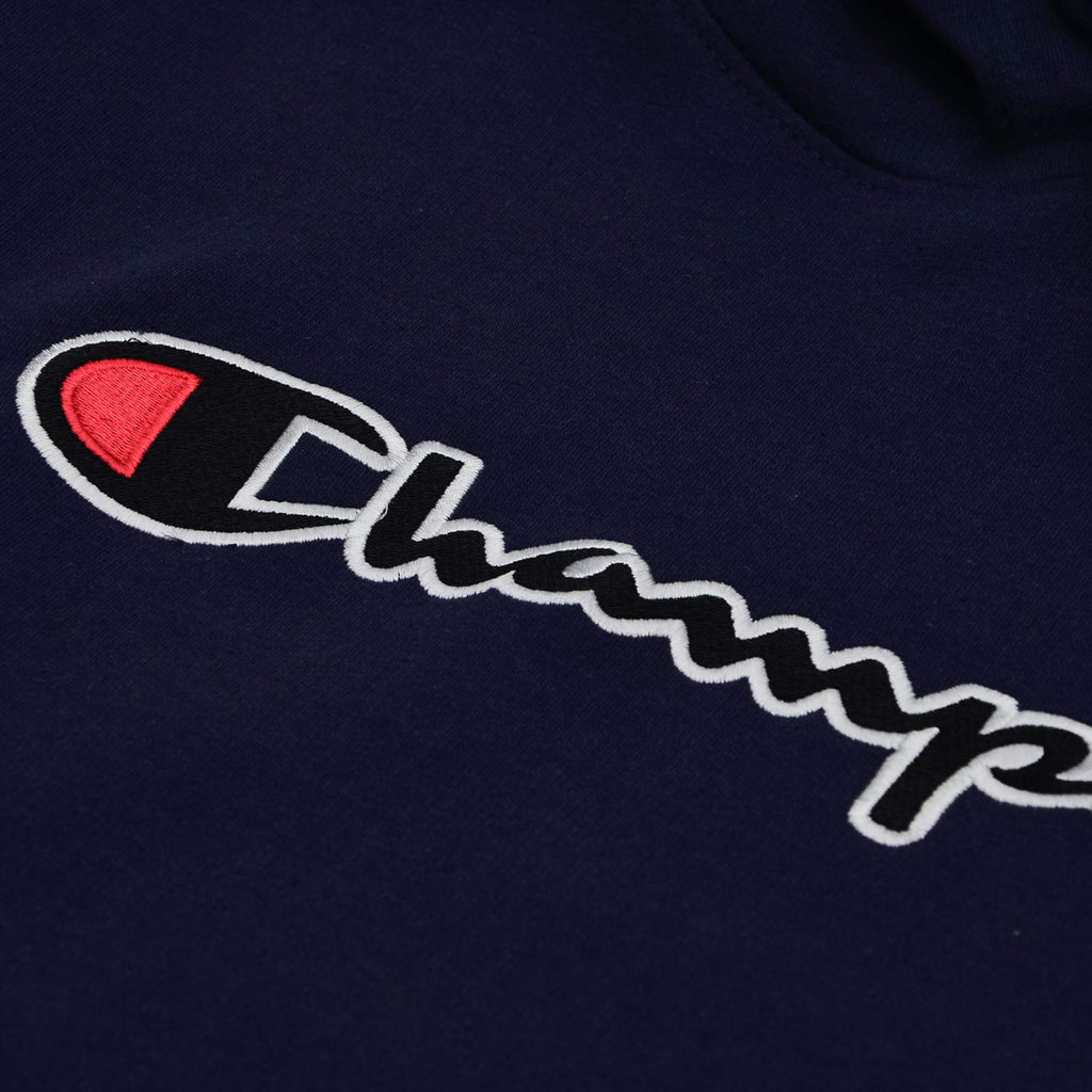 Champion Mens Hoodies Big and Tall - Embroidered Pullover Fleece Sweatshirt