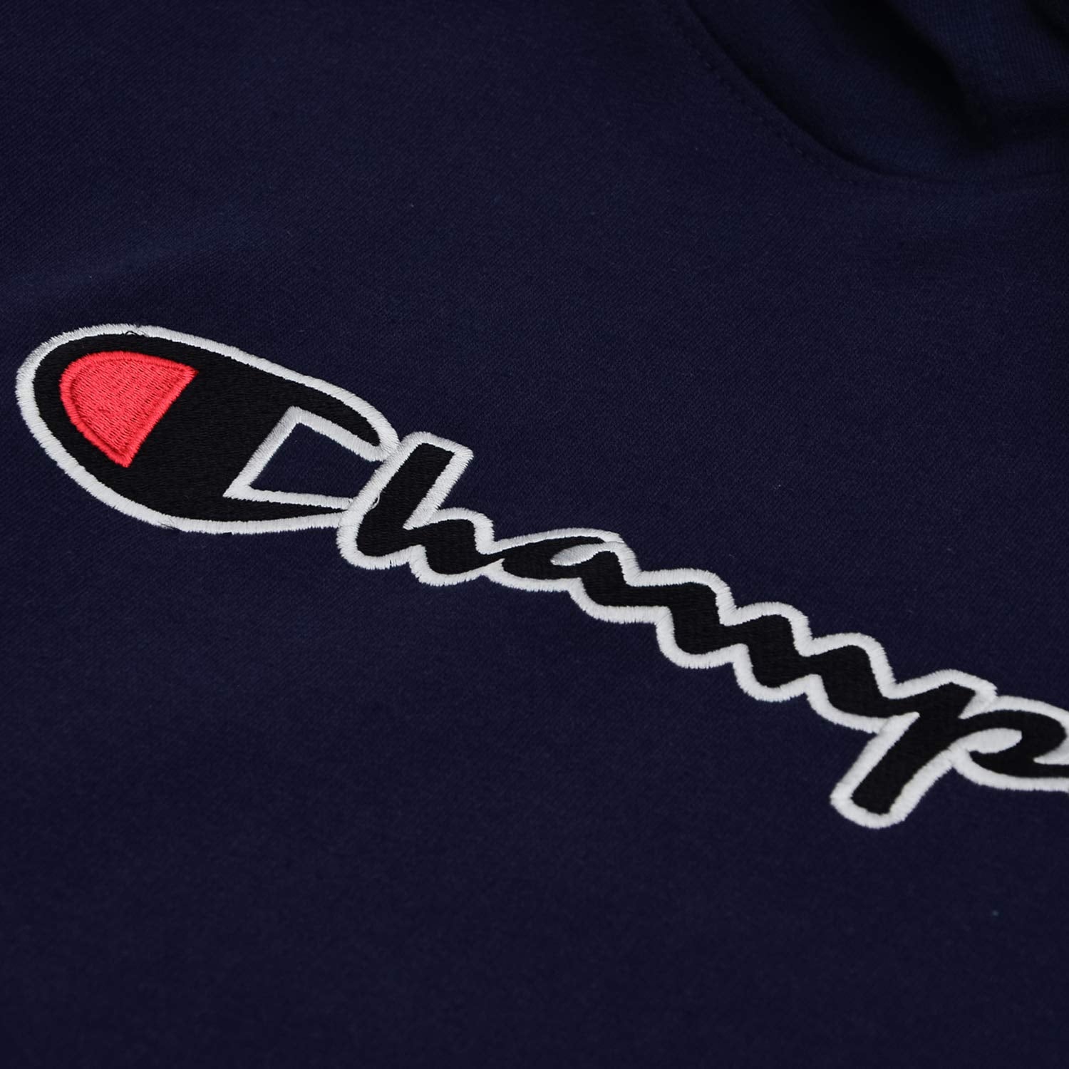 Champion Mens Hoodies Big and Tall - Embroidered Pullover Fleece Sweatshirt