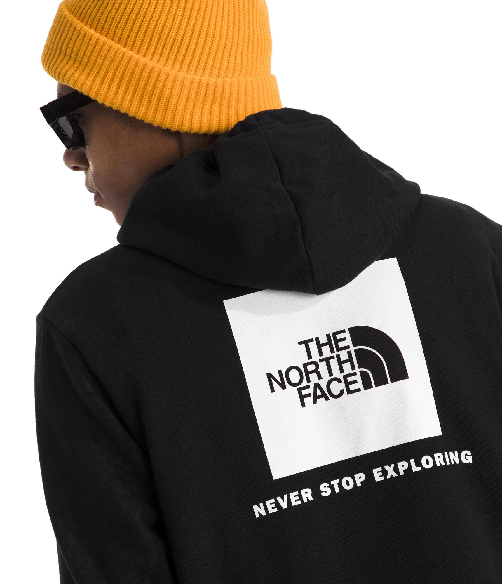 The North Face mens Evolution Box Nse Hoodie