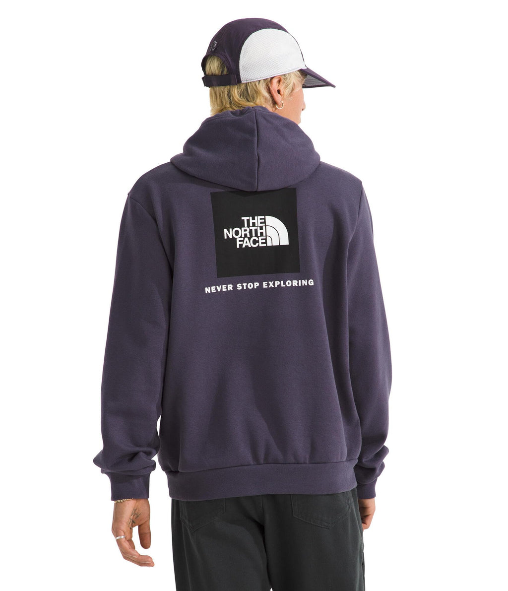 The North Face mens Evolution Box Nse Hoodie