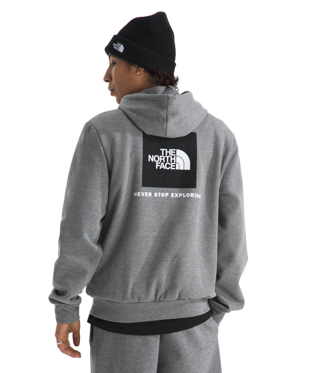 The North Face mens Evolution Box Nse Hoodie