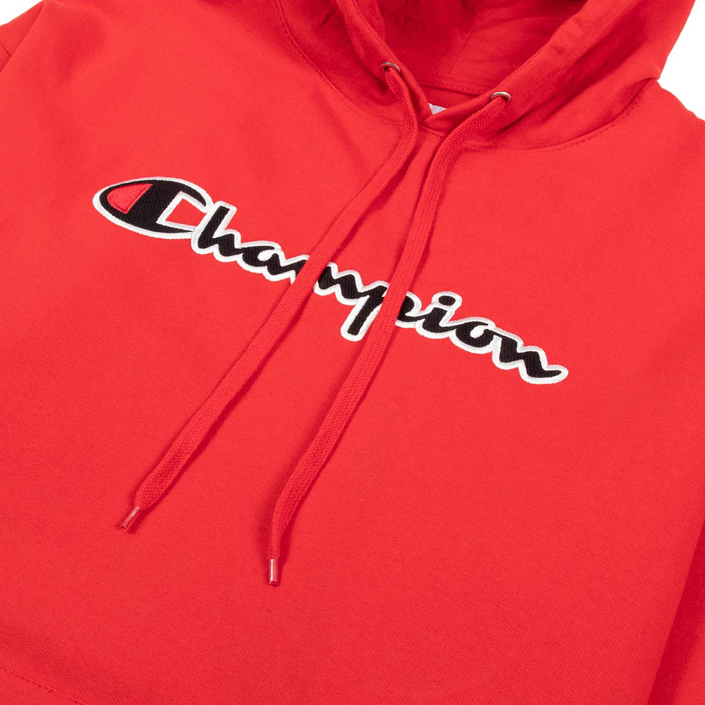 Champion Mens Hoodies Big and Tall - Embroidered Pullover Fleece Sweatshirt