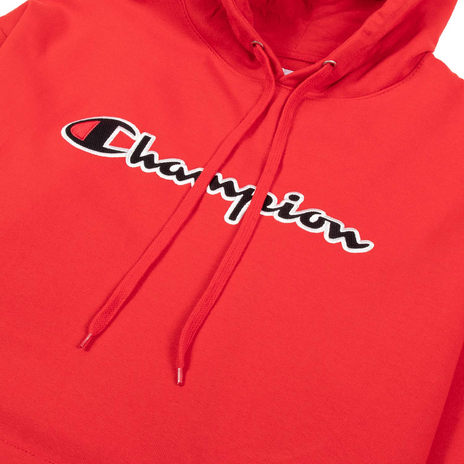 Champion Mens Hoodies Big and Tall - Embroidered Pullover Fleece Sweatshirt
