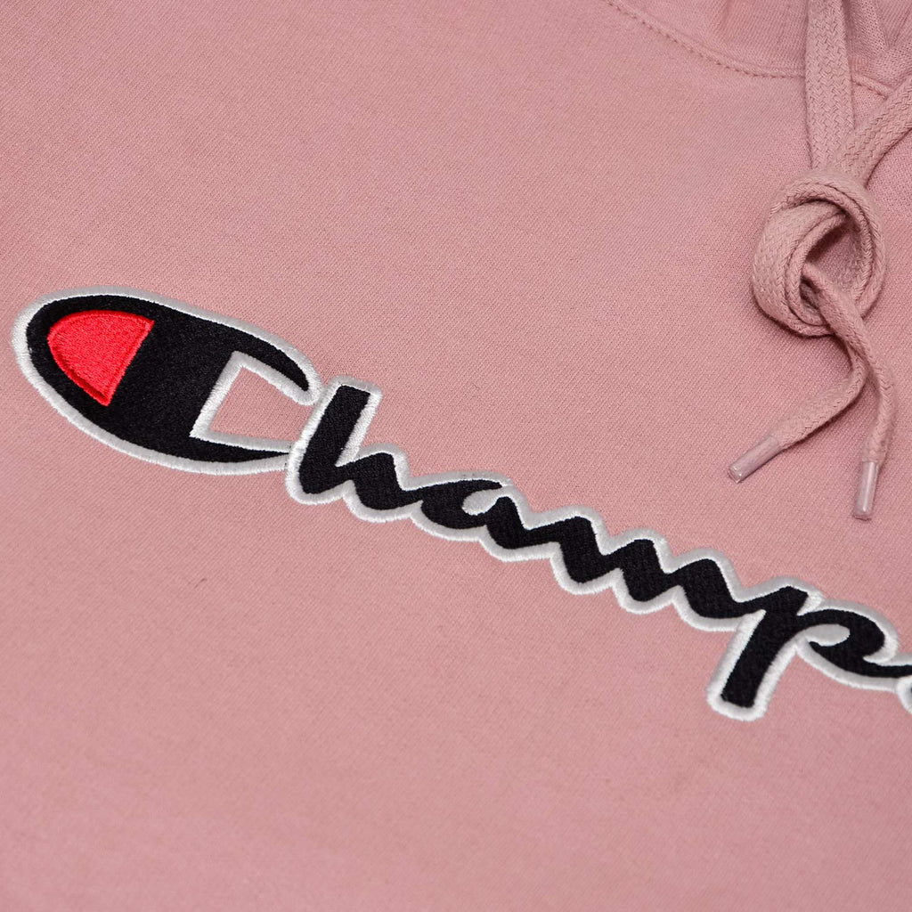 Champion Mens Hoodies Big and Tall - Embroidered Pullover Fleece Sweatshirt