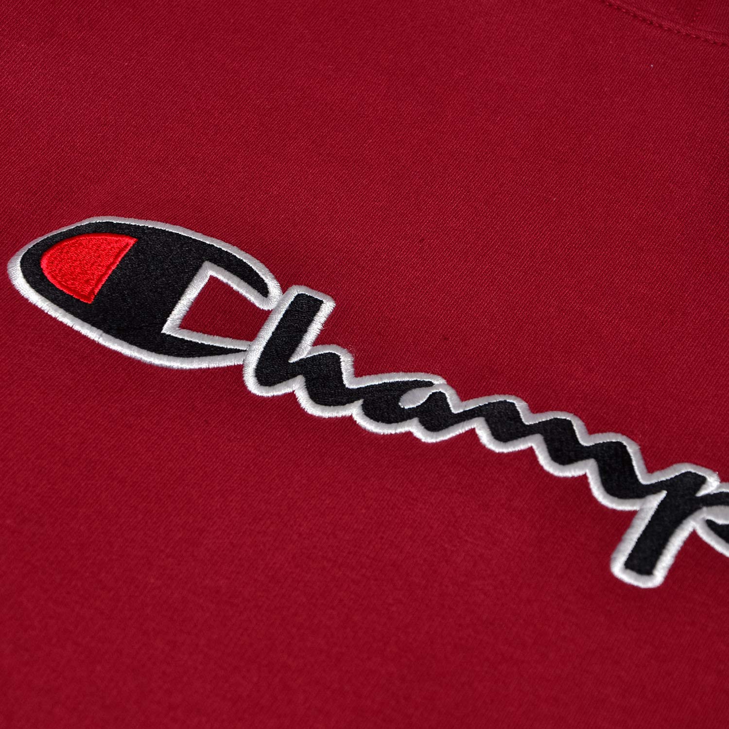 Champion Mens Hoodies Big and Tall - Embroidered Pullover Fleece Sweatshirt