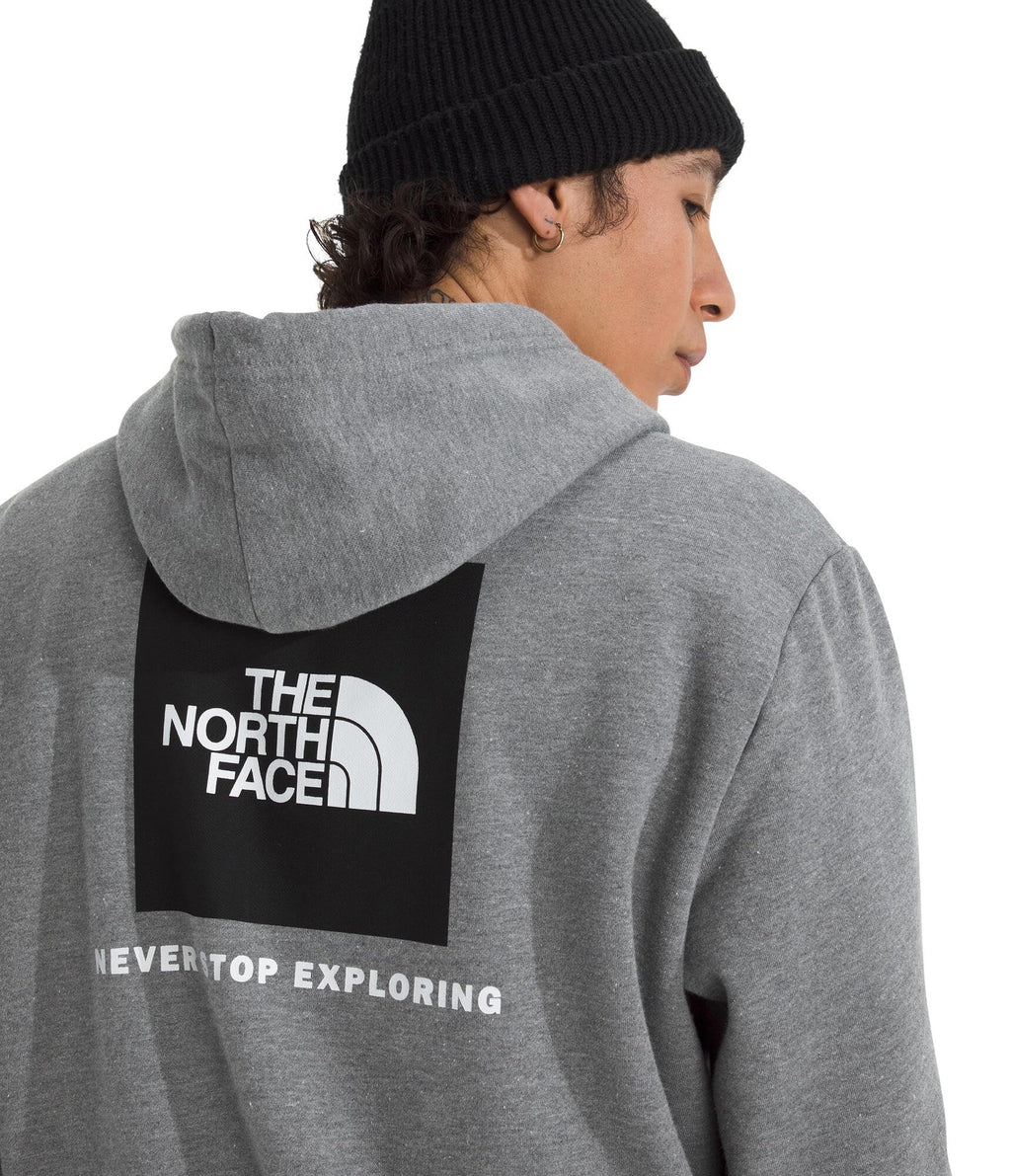 The North Face mens Evolution Box Nse Hoodie