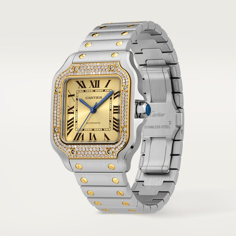 https://www.cartier.com/dw/image/v2/BGTJ_PRD/on/demandware.static/-/Sites-cartier-master/default/dw344ebb14/images/large/8b010b954eaa5b3bb02aef2143b61824.png?sw=750&sh=750&sm=fit&sfrm=png