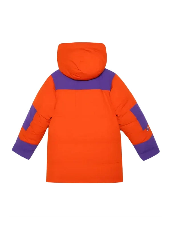 https://www.aceoutwear.com/wp-content/uploads/2026/03/Gucci-x-The-North-Face-Down-Jacket.webp