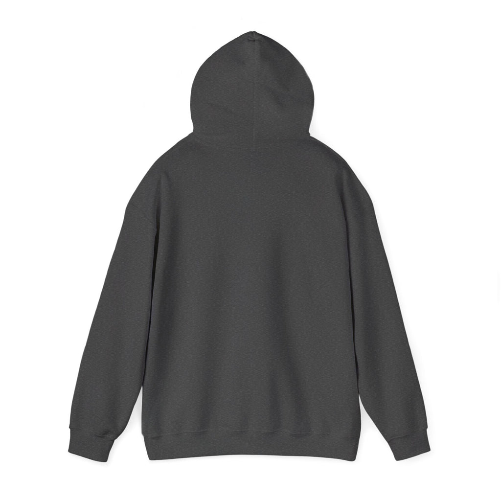 Glock Perfection Hoodie Unisex Heavy Blend™ Hooded Sweatshirt