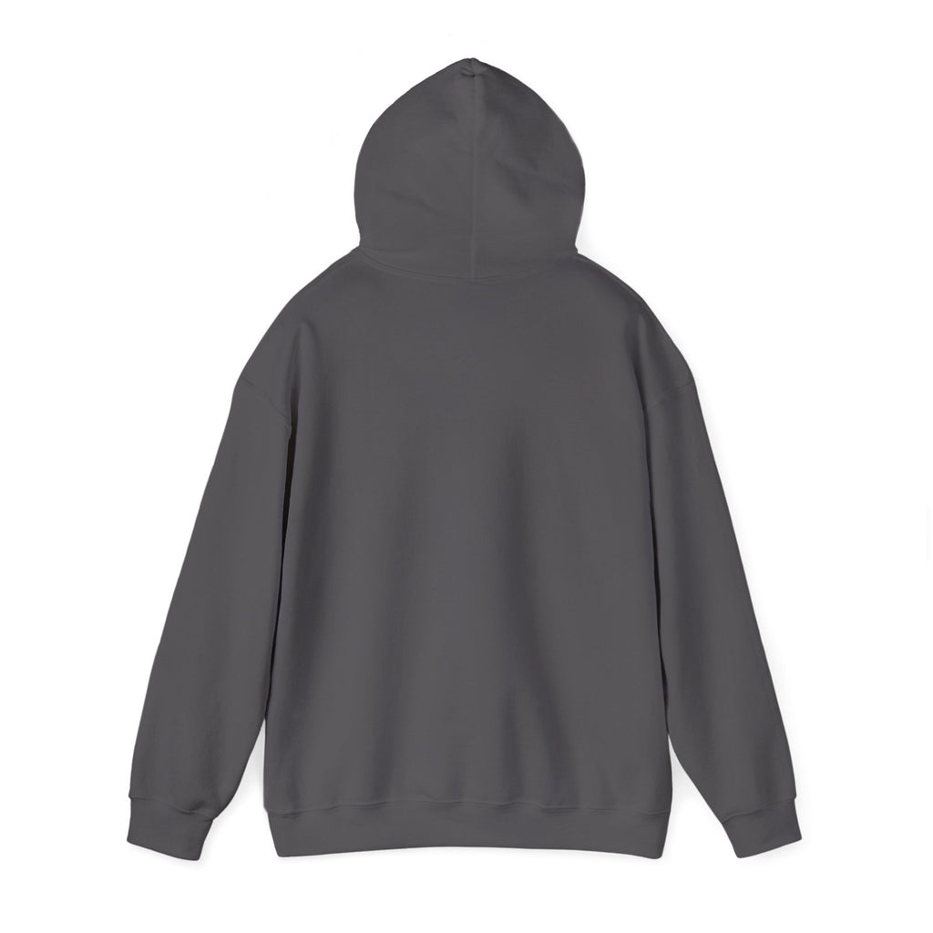 Glock Perfection Hoodie Unisex Heavy Blend™ Hooded Sweatshirt