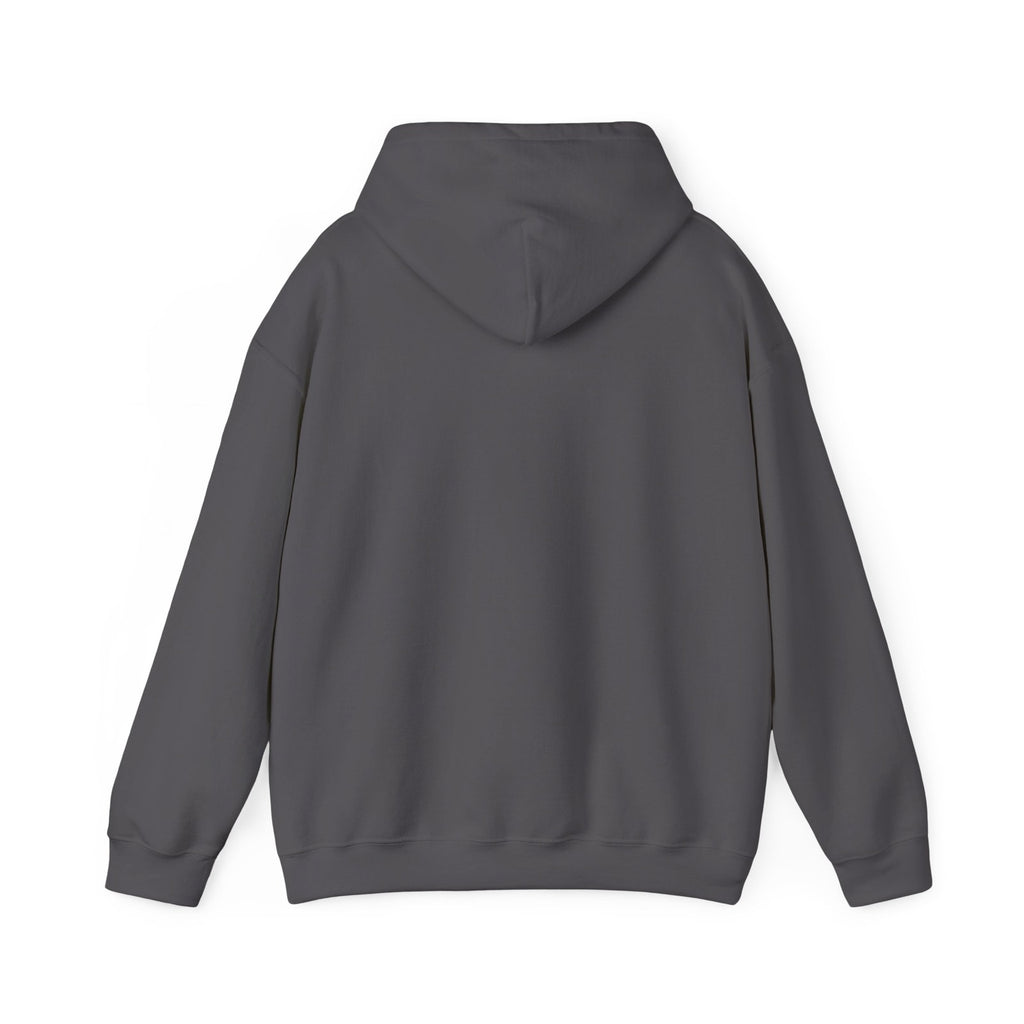 Glock Perfection Hoodie Unisex Heavy Blend™ Hooded Sweatshirt