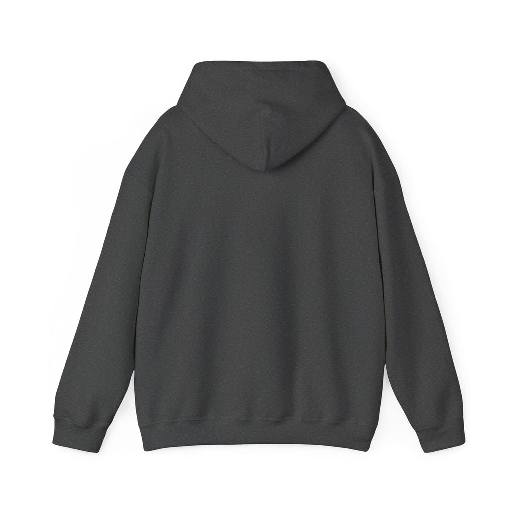 Glock Perfection Hoodie Unisex Heavy Blend™ Hooded Sweatshirt